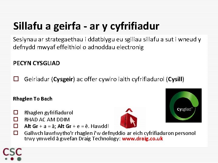 Sillafu a geirfa - ar y cyfrifiadur Sesiynau ar strategaethau i ddatblygu eu sgiliau
