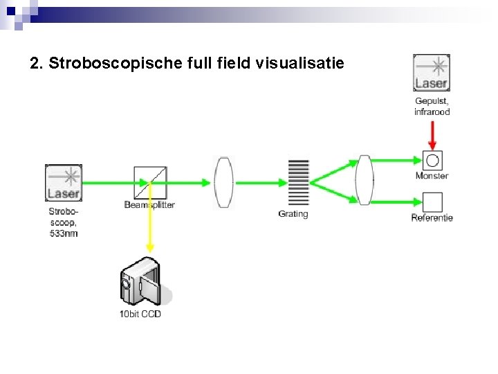 2. Stroboscopische full field visualisatie 
