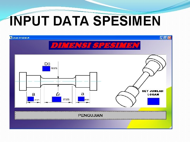 INPUT DATA SPESIMEN 