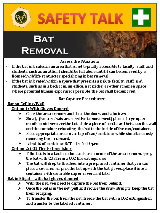 If the bat is located in an area that is not typically accessible to