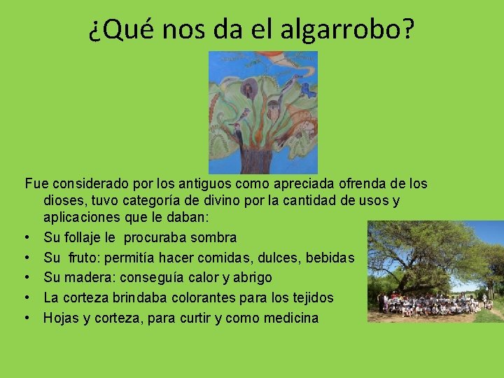 ¿Qué nos da el algarrobo? Fue considerado por los antiguos como apreciada ofrenda de