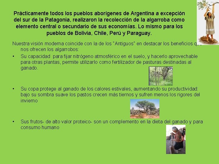 Prácticamente todos los pueblos aborígenes de Argentina a excepción del sur de la Patagonia,