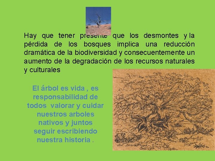 Hay que tener presente que los desmontes y la pérdida de los bosques implica