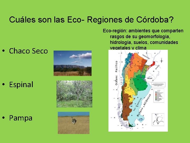 Cuáles son las Eco- Regiones de Córdoba? • Chaco Seco • Espinal • Pampa