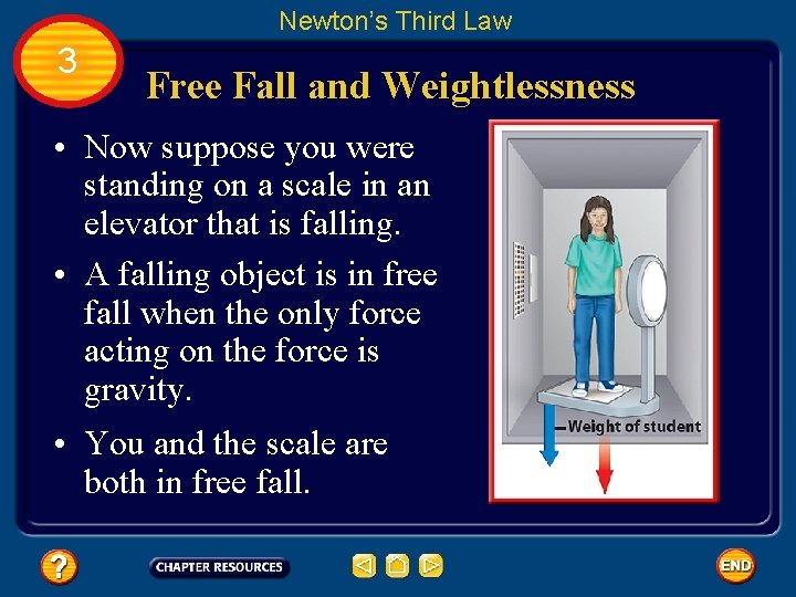 Newton’s Third Law 3 Free Fall and Weightlessness • Now suppose you were standing