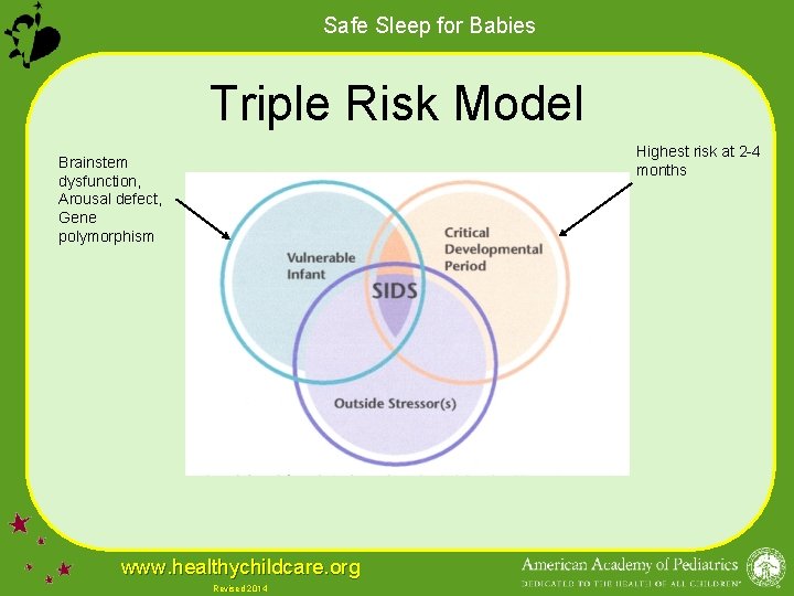 Safe Sleep for Babies Triple Risk Model Highest risk at 2 -4 months Brainstem