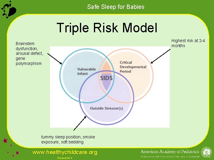 Safe Sleep for Babies Triple Risk Model Highest risk at 2 -4 months Brainstem