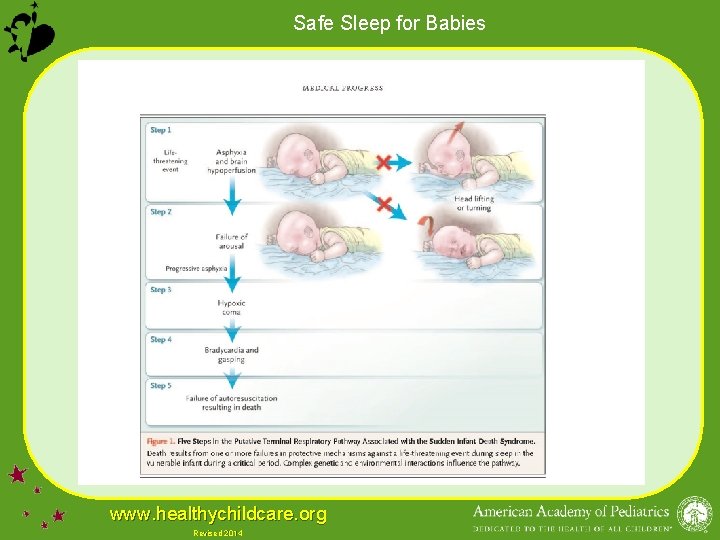 Safe Sleep for Babies www. healthychildcare. org Revised 2014 
