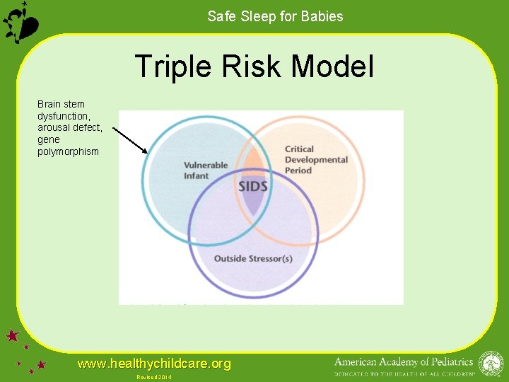 Safe Sleep for Babies Triple Risk Model Brain stem dysfunction, arousal defect, gene polymorphism