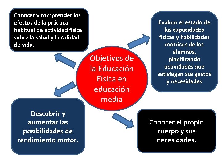 Conocer y comprender los efectos de la práctica habitual de actividad física sobre la