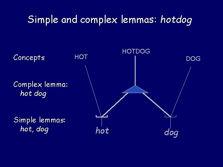 Simple and complex lemmas: hotdog Concepts HOTDOG HOT DOG Complex lemma: hot dog Simple