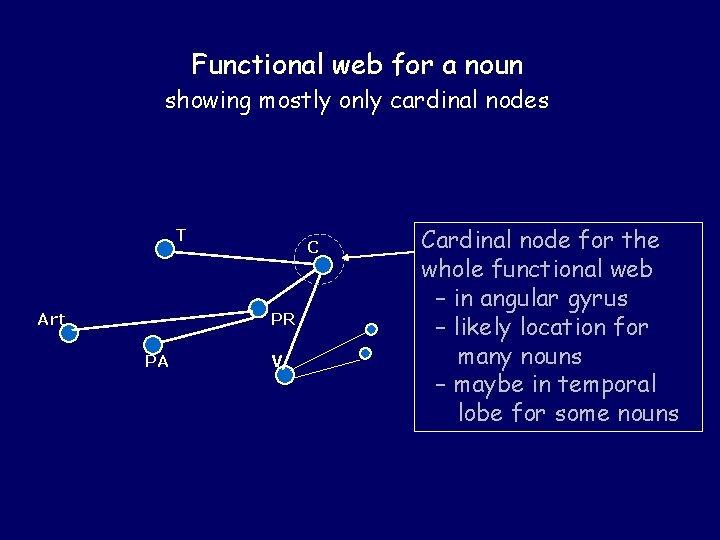 Functional web for a noun showing mostly only cardinal nodes T Art C PR