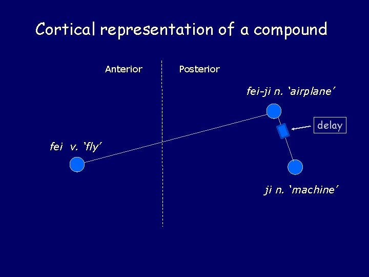 Cortical representation of a compound Anterior Posterior fei-ji n. ‘airplane’ delay fei v. ‘fly’