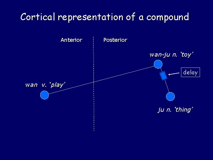 Cortical representation of a compound Anterior Posterior wan-ju n. ‘toy’ delay wan v. ‘play’