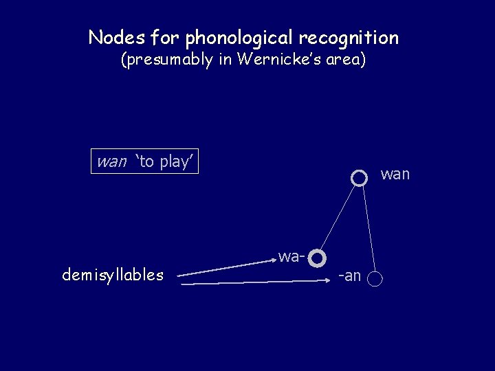 Nodes for phonological recognition (presumably in Wernicke’s area) wan ‘to play’ demisyllables wan wa-