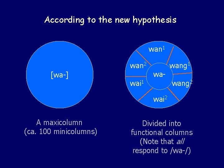 According to the new hypothesis wan 1 wan 2 [wa-] wai 1 wa- wang