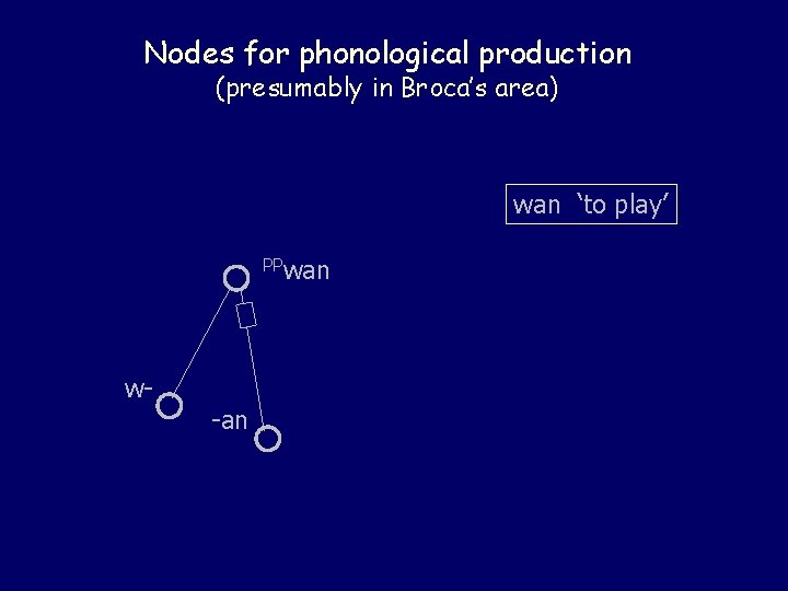 Nodes for phonological production (presumably in Broca’s area) wan ‘to play’ PPwan w- -an