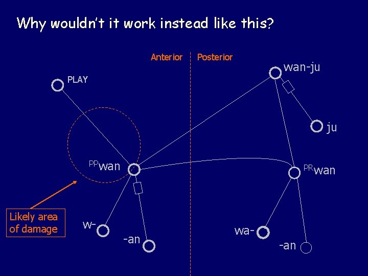 Why wouldn’t it work instead like this? Anterior Posterior wan-ju PLAY ju PPwan Likely