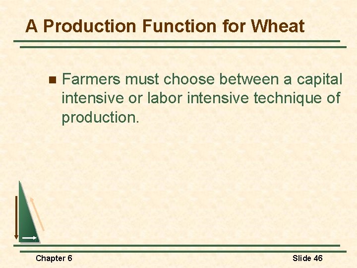 A Production Function for Wheat n Farmers must choose between a capital intensive or