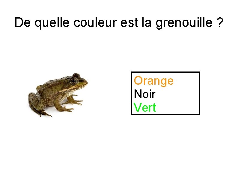 De quelle couleur est la grenouille ? Orange Noir Vert 