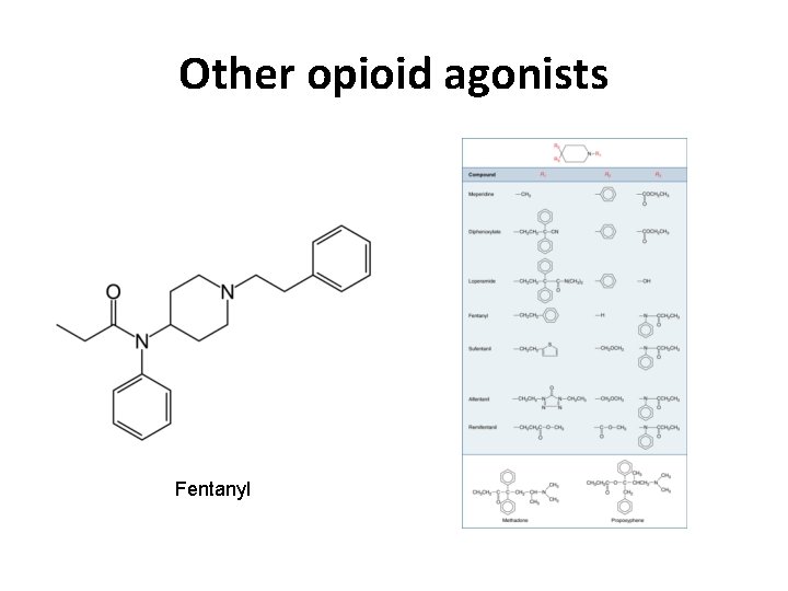Other opioid agonists Fentanyl Other opioid agonists Fentanyl