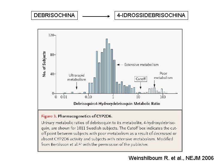 DEBRISOCHINA CYP 2 D 6 4 -IDROSSIDEBRISOCHINA Immagine presa da Weinshilboum R. et al. DEBRISOCHINA CYP 2 D 6 4 -IDROSSIDEBRISOCHINA Immagine presa da Weinshilboum R. et al.