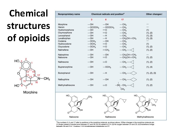 Chemical structures of opioids Chemical structures of opioids