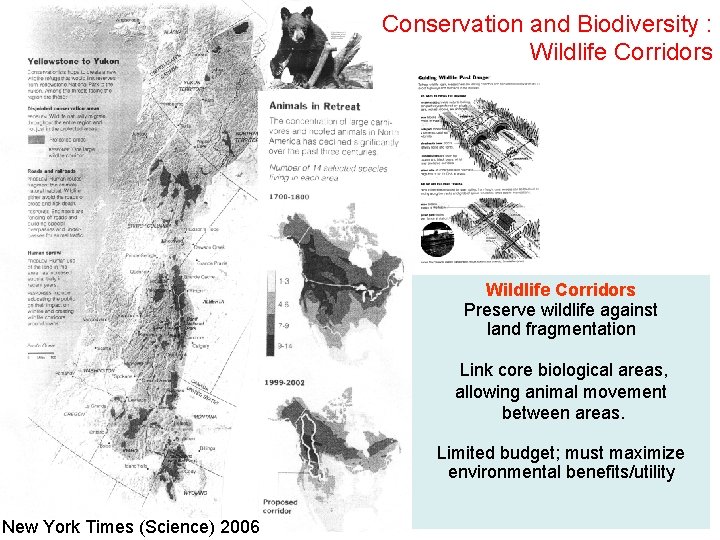 Conservation and Biodiversity : Wildlife Corridors Preserve wildlife against land fragmentation Link core biological