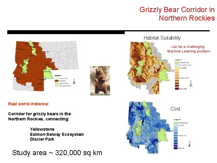 Grizzly Bear Corridor in Northern Rockies Habitat Suitability can be a challenging Machine Learning