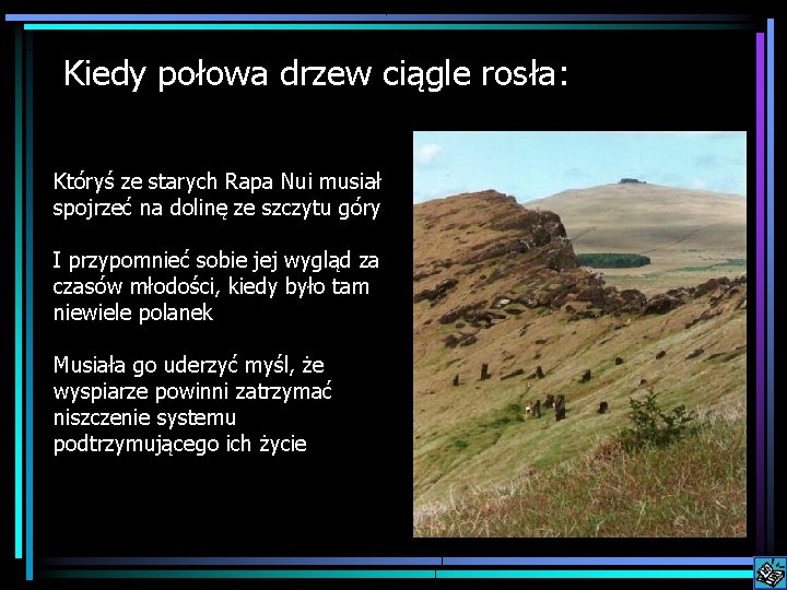 Kiedy połowa drzew ciągle rosła: Któryś ze starych Rapa Nui musiał spojrzeć na dolinę