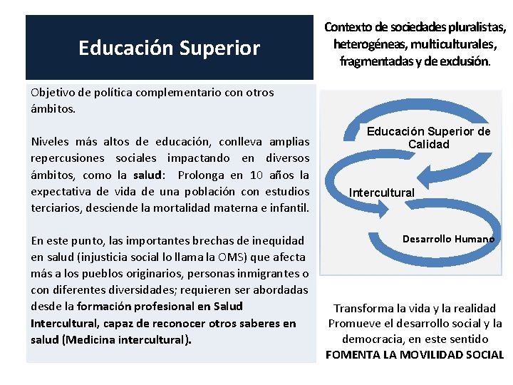 Educación Superior Contexto de sociedades pluralistas, heterogéneas, multiculturales, fragmentadas y de exclusión. Objetivo de