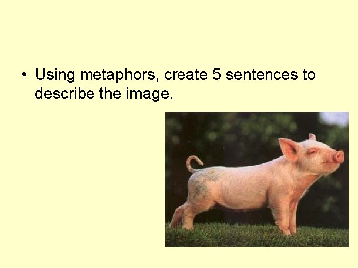  • Using metaphors, create 5 sentences to describe the image. 