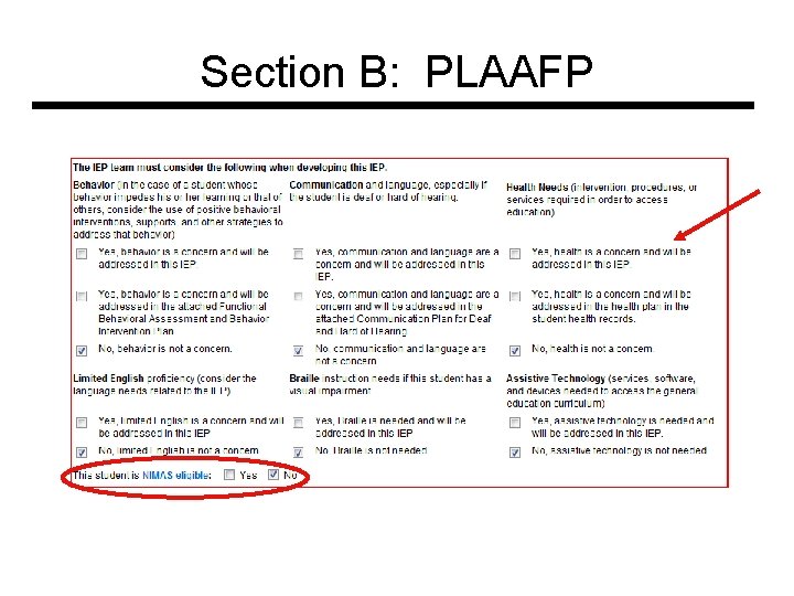 Section B: PLAAFP 