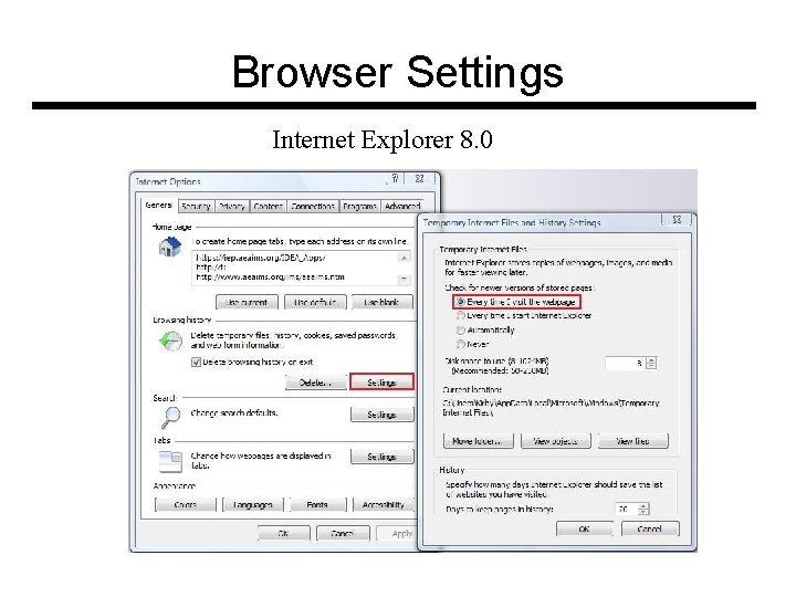 Browser Settings Internet Explorer 8. 0 