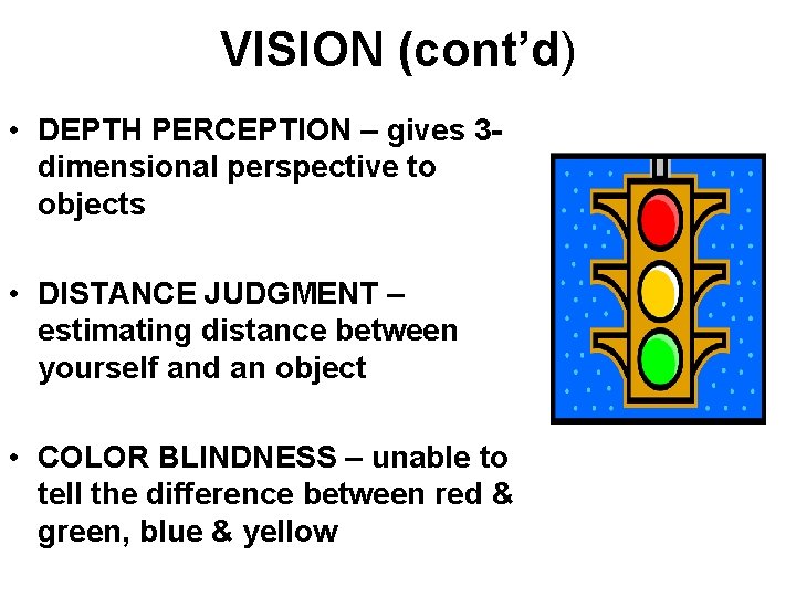 VISION (cont’d) • DEPTH PERCEPTION – gives 3 dimensional perspective to objects • DISTANCE