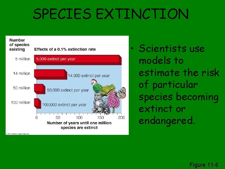 SPECIES EXTINCTION • Scientists use models to estimate the risk of particular species becoming
