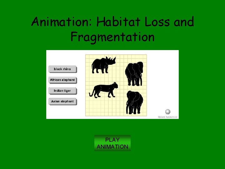 Animation: Habitat Loss and Fragmentation PLAY ANIMATION 