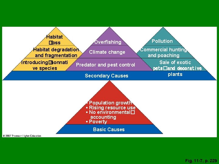 Habitat Pollution Overfishing �loss Habitat degradation Commercial hunting Climate change and fragmentation and poaching