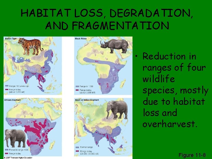 HABITAT LOSS, DEGRADATION, AND FRAGMENTATION • Reduction in ranges of four wildlife species, mostly