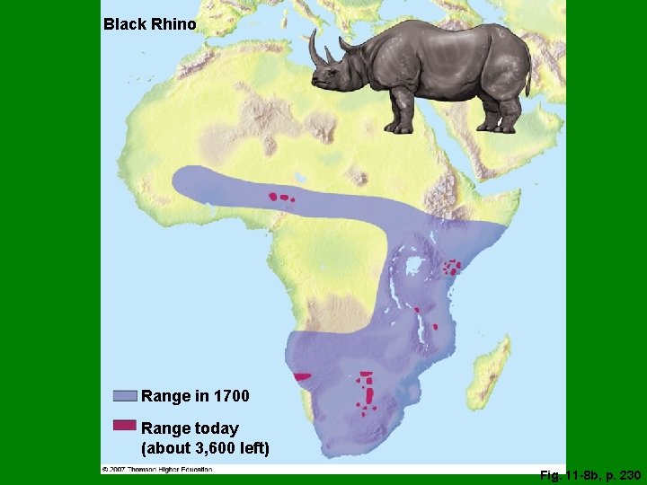Black Rhino Range in 1700 Range today (about 3, 600 left) Fig. 11 -8