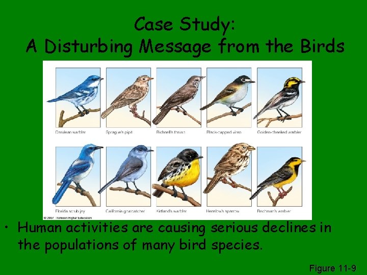 Case Study: A Disturbing Message from the Birds • Human activities are causing serious