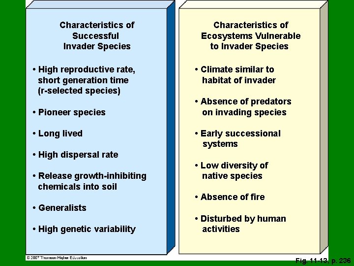 Characteristics of Successful Invader Species • High reproductive rate, short generation time (r-selected species)