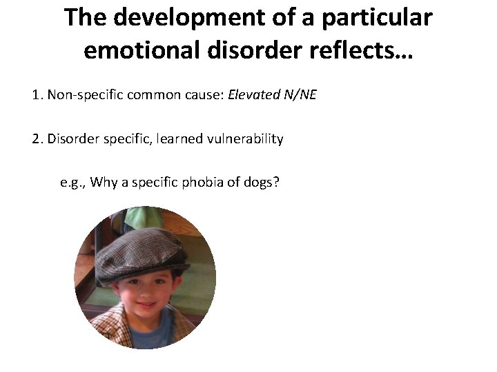 The development of a particular emotional disorder reflects… 1. Non-specific common cause: Elevated N/NE