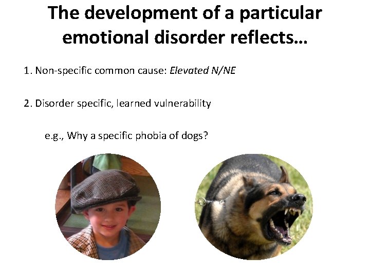 The development of a particular emotional disorder reflects… 1. Non-specific common cause: Elevated N/NE