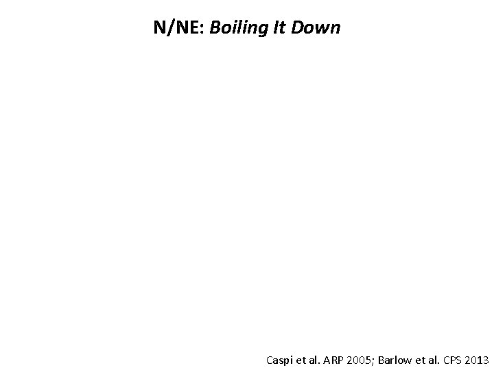 N/NE: Boiling It Down Emotion • susceptibility to negative moods Appraisal • experience the