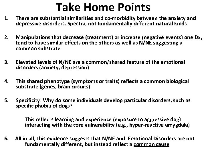 Take Home Points 1. There are substantial similarities and co-morbidity between the anxiety and