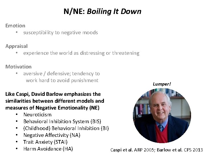N/NE: Boiling It Down Emotion • susceptibility to negative moods Appraisal • experience the