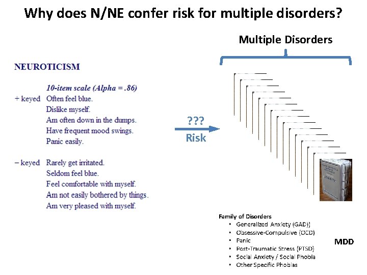 Why does N/NE confer risk for multiple disorders? Multiple Disorders ? ? ? Risk
