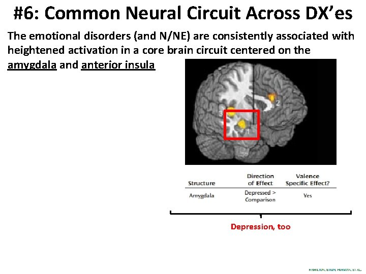 #6: Common Neural Circuit Across DX’es The emotional disorders (and N/NE) are consistently associated