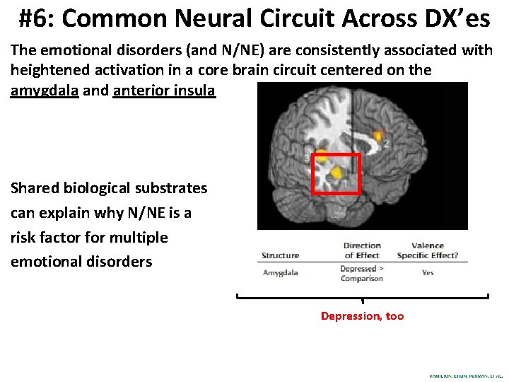 #6: Common Neural Circuit Across DX’es The emotional disorders (and N/NE) are consistently associated